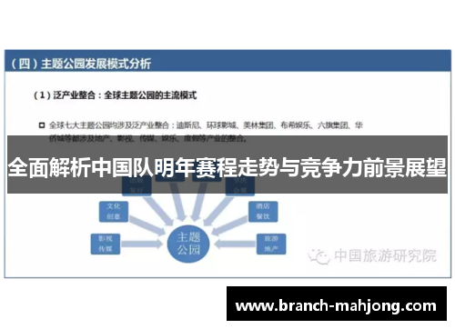 全面解析中国队明年赛程走势与竞争力前景展望