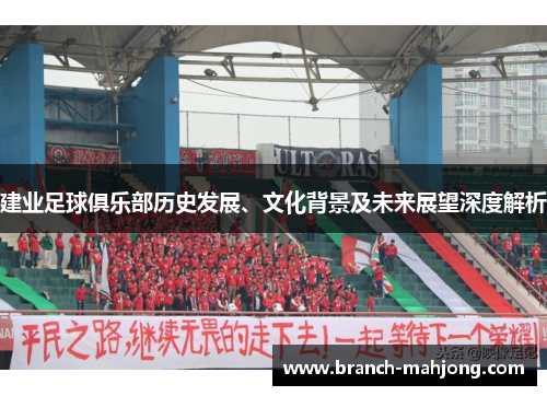 建业足球俱乐部历史发展、文化背景及未来展望深度解析