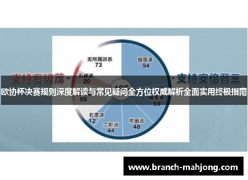 欧协杯决赛规则深度解读与常见疑问全方位权威解析全面实用终极指南