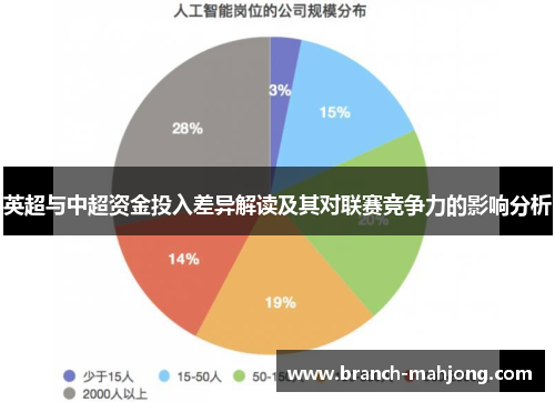 英超与中超资金投入差异解读及其对联赛竞争力的影响分析
