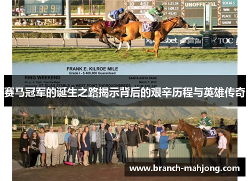 赛马冠军的诞生之路揭示背后的艰辛历程与英雄传奇