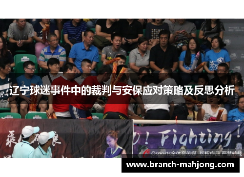 辽宁球迷事件中的裁判与安保应对策略及反思分析