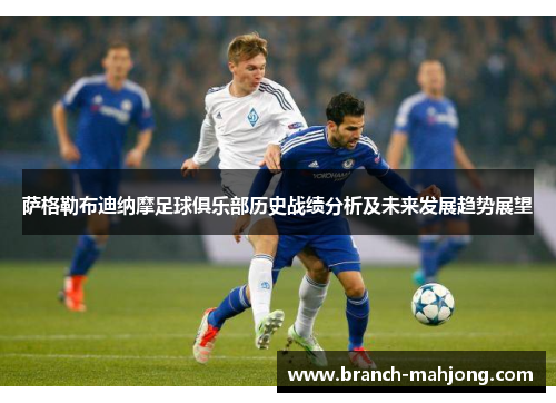 萨格勒布迪纳摩足球俱乐部历史战绩分析及未来发展趋势展望 萨格勒布迪纳摩足球俱乐部历史战绩分析及未来发展趋势展望