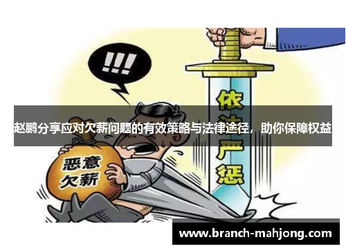 赵鹏分享应对欠薪问题的有效策略与法律途径，助你保障权益