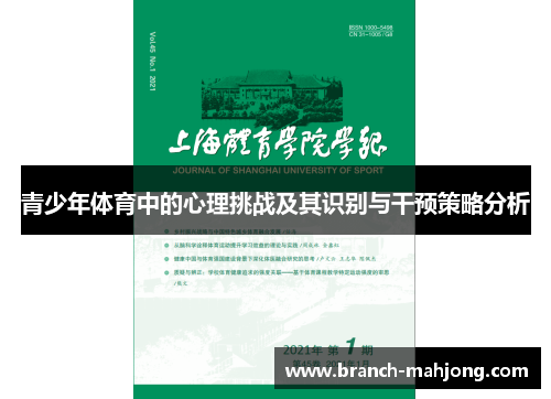 青少年体育中的心理挑战及其识别与干预策略分析