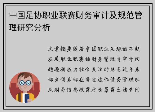 中国足协职业联赛财务审计及规范管理研究分析 中国足协职业联赛财务审计及规范管理研究分析