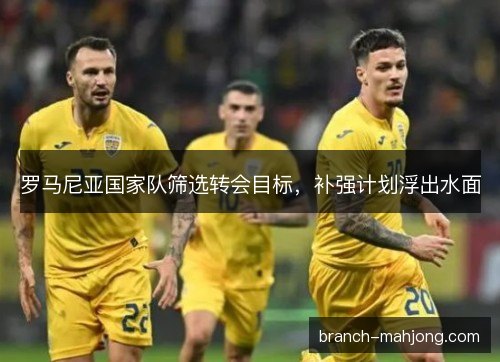 罗马尼亚国家队筛选转会目标，补强计划浮出水面